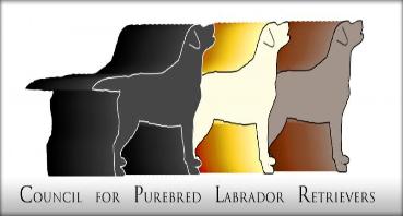 CPLR Council for purebred Labrador Retrievers