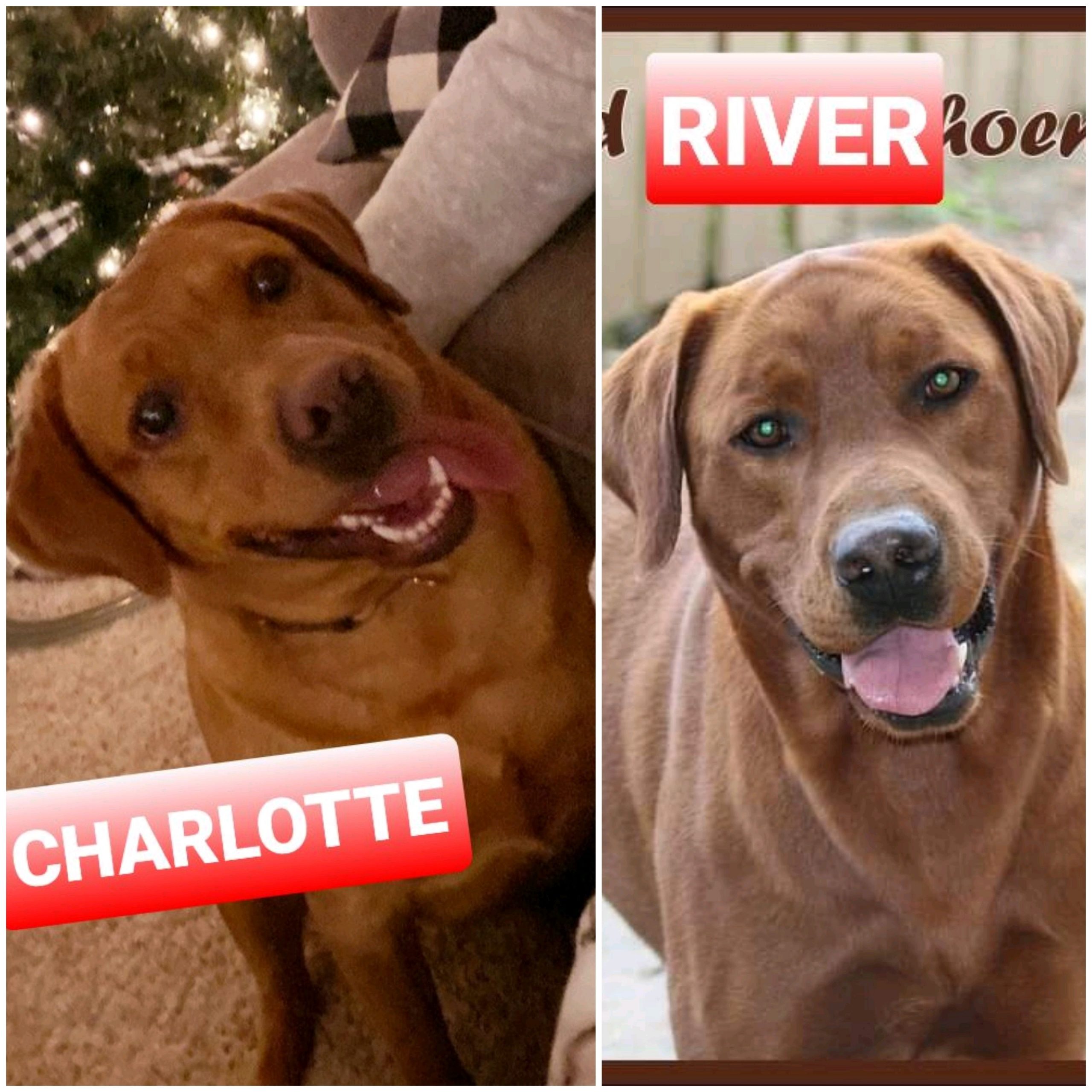 Charlotte and River